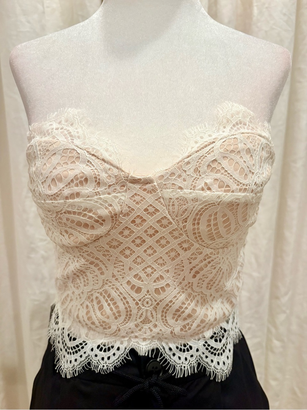 superdown Lace Strapless Crop Top in Cream